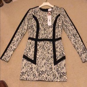 Long-sleeved fitted Parker mini dress